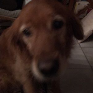 Meet your Posher, Emerie